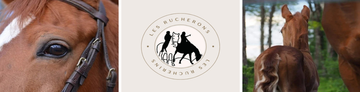 les rucherons